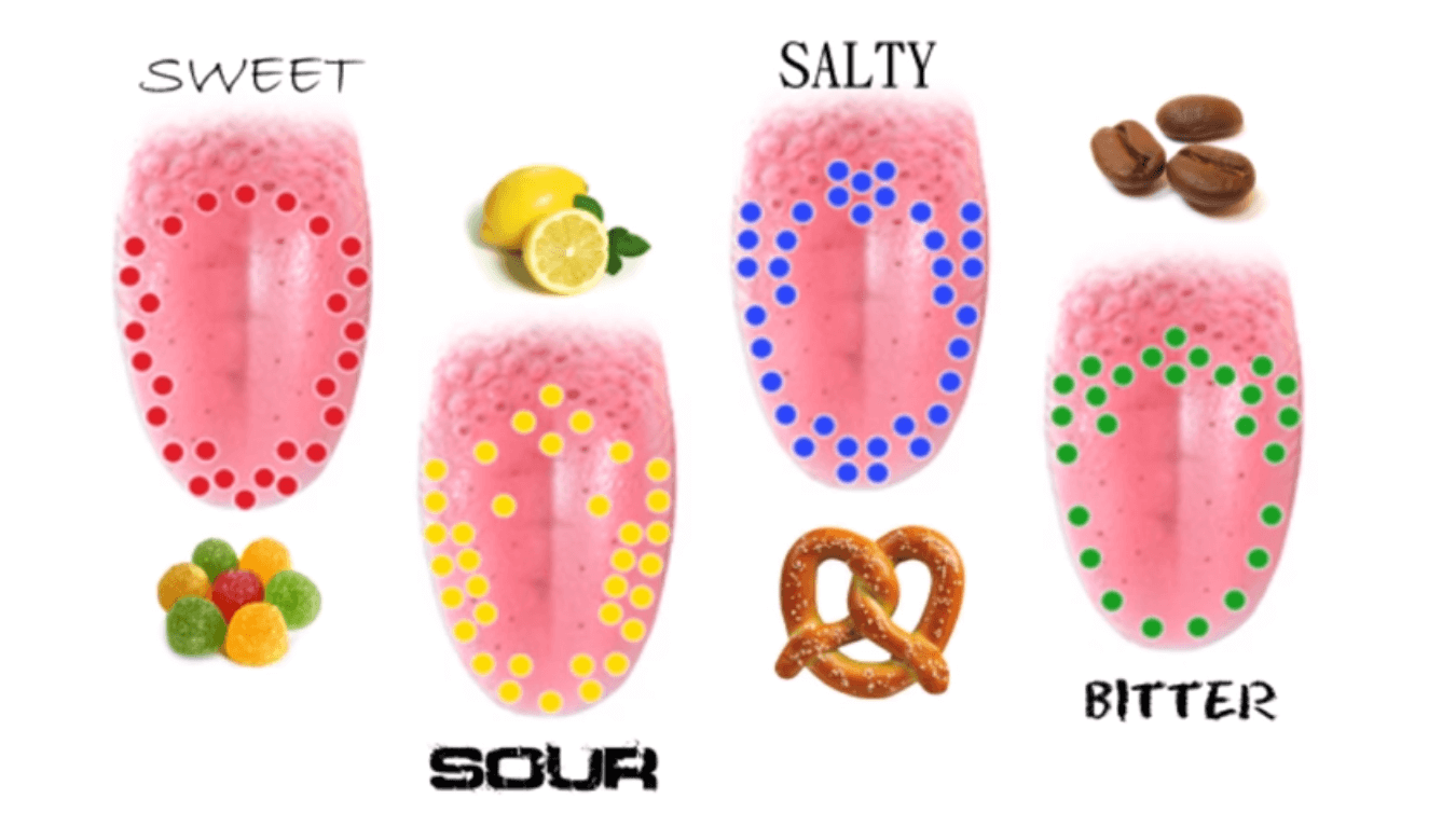 How Taste Works